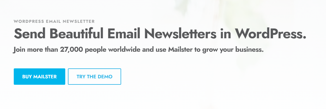 Mailster By Everpress
