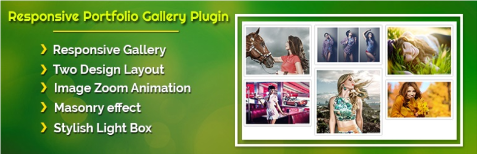 Responsive Portfolio Album Carousel WordPress Gallery Plugin