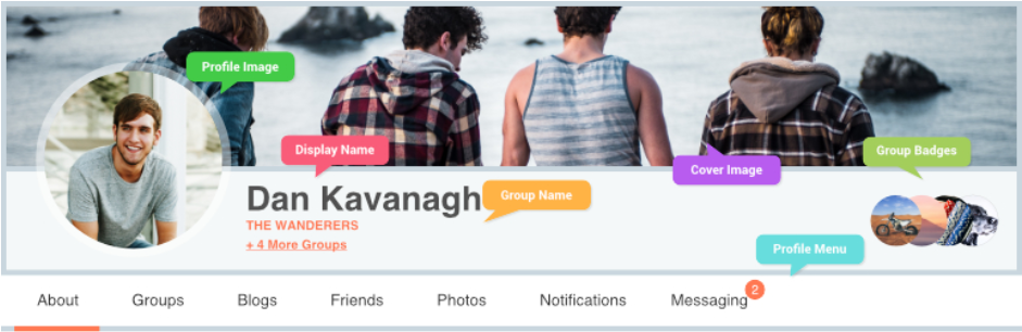 ProfileGrid – User Profiles, Groups and Communities _ WordPress.org
