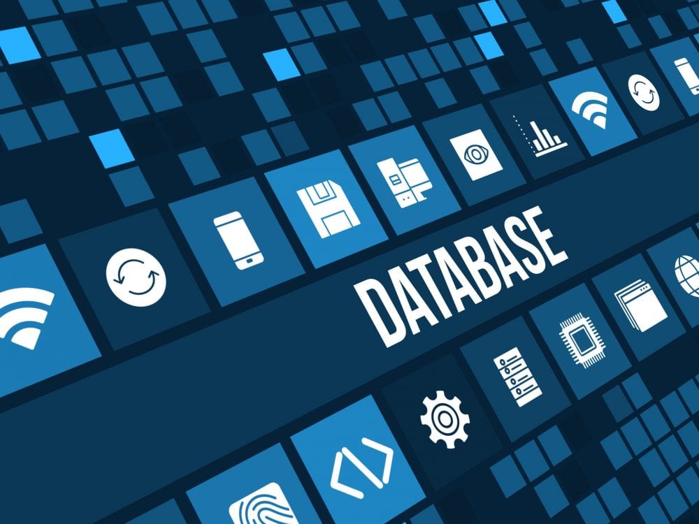 Wordpress Database Plugin