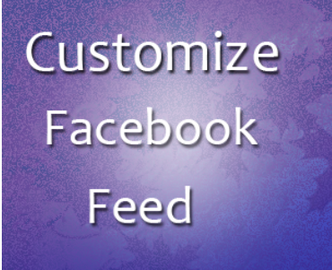 Wordpress Facebook Feed Plugin