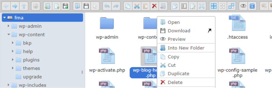 Wordpress File Manager Plugin