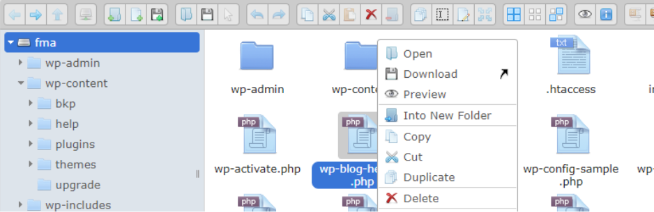 wordpress file manager plugin