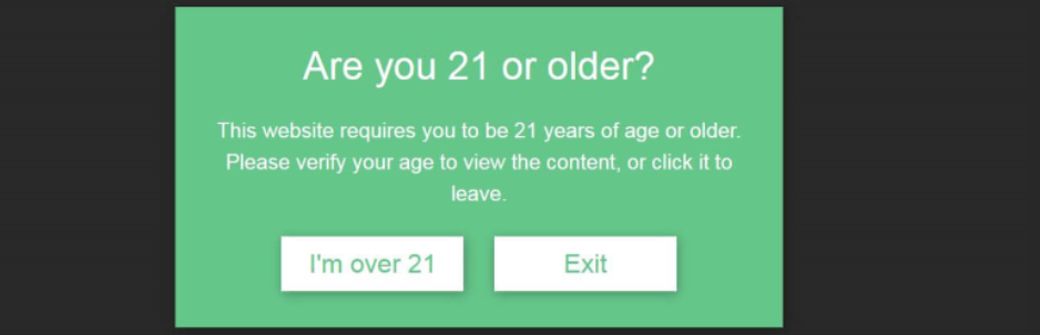 Wordpress Responsive Age Verification