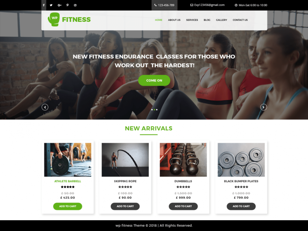 Top 12 Awesome WordPress Fitness Theme - JustFreeWPThemes