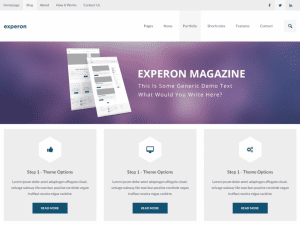 Free Experon Magazine Wordpress Theme