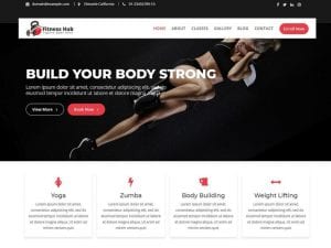 Free Fitness Hub Wordpress Theme