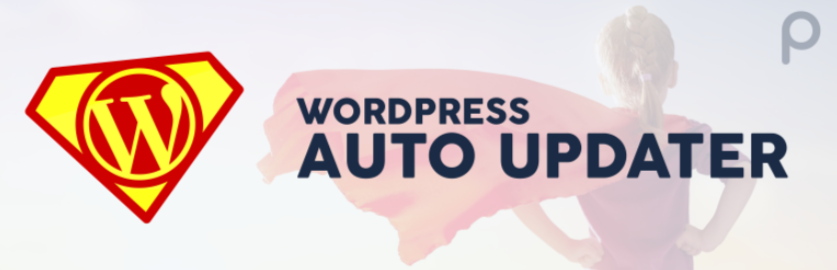 Wordpress Auto Update Plugin