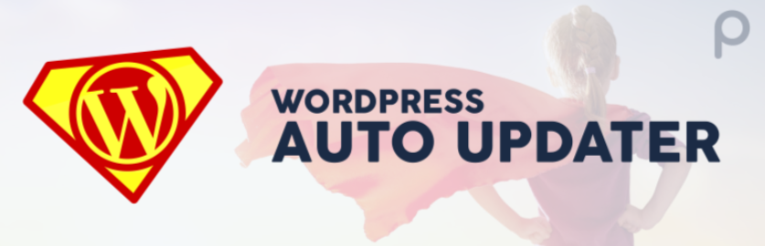 wordpress auto update plugin