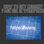 How to get current page URL in Wordpress website