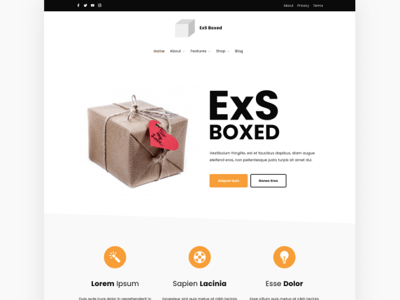 Exs Boxed