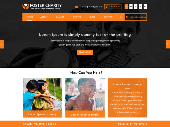 Foster Charity