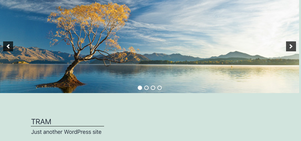 add an image slider in WordPress header 9