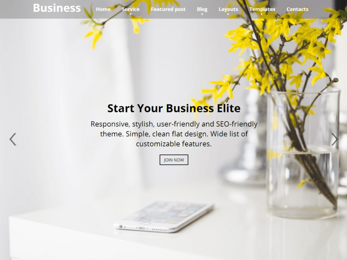 Free Business Elite Wordpress Theme