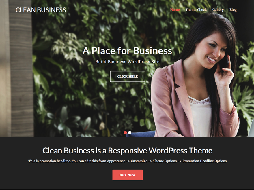 Free Clean Business Wordpress Theme