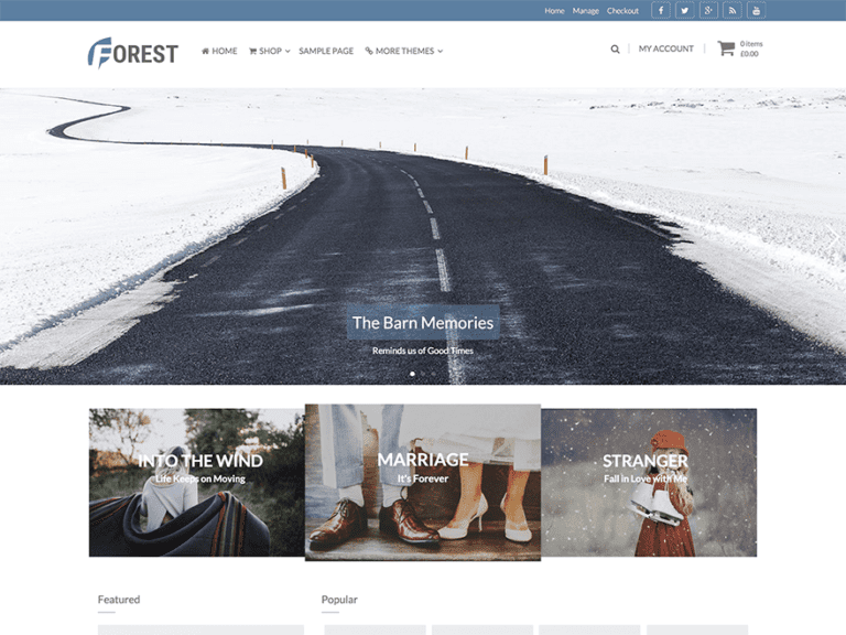 Download Free Forest Wordpress theme JustFreeWPThemes