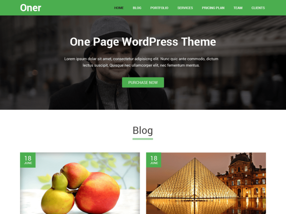 Free Oner Wordpress Theme