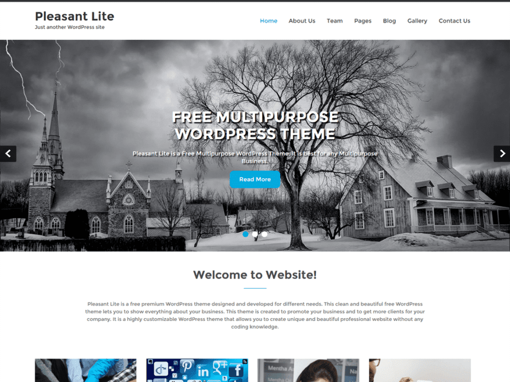 Free Pleasant Lite Wordpress Theme