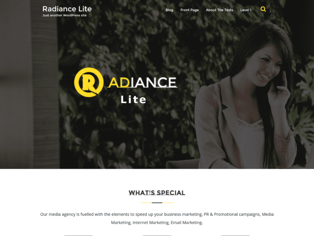 Free Randiance Lite Wordpress Theme