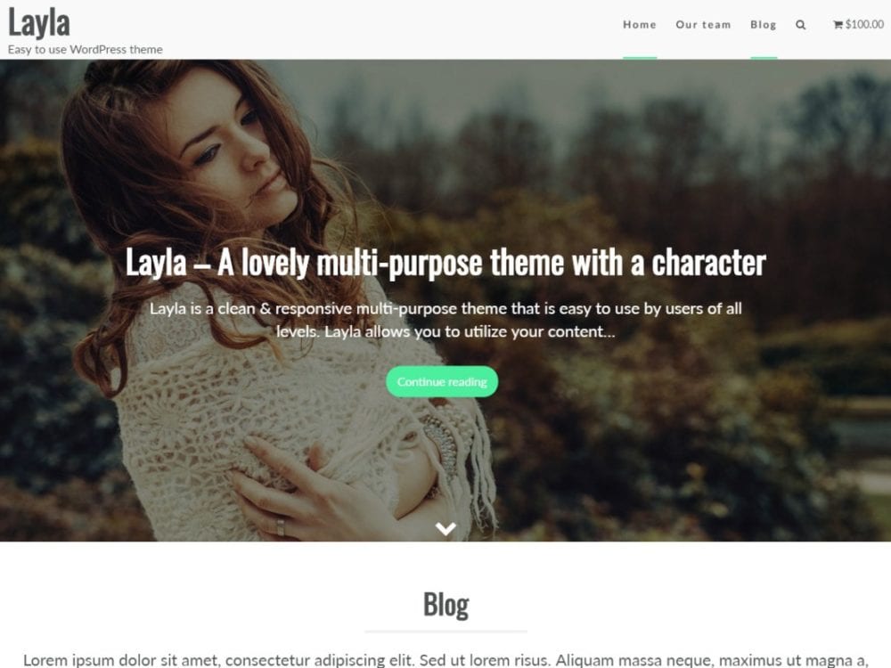 Free Layla Wordpress Theme