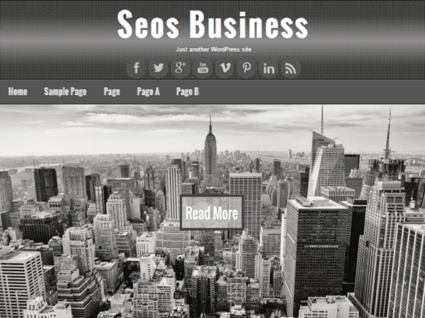 Free Seos Business Wordpress Theme