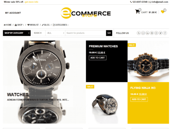 Free Ecommerce Store Wordpress Theme