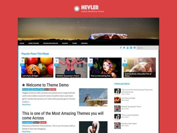 Free Nevler Wordpress Theme