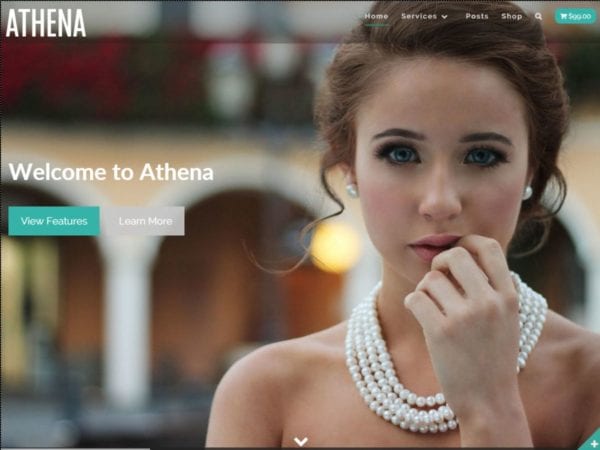 Free Athena Wordpress Theme