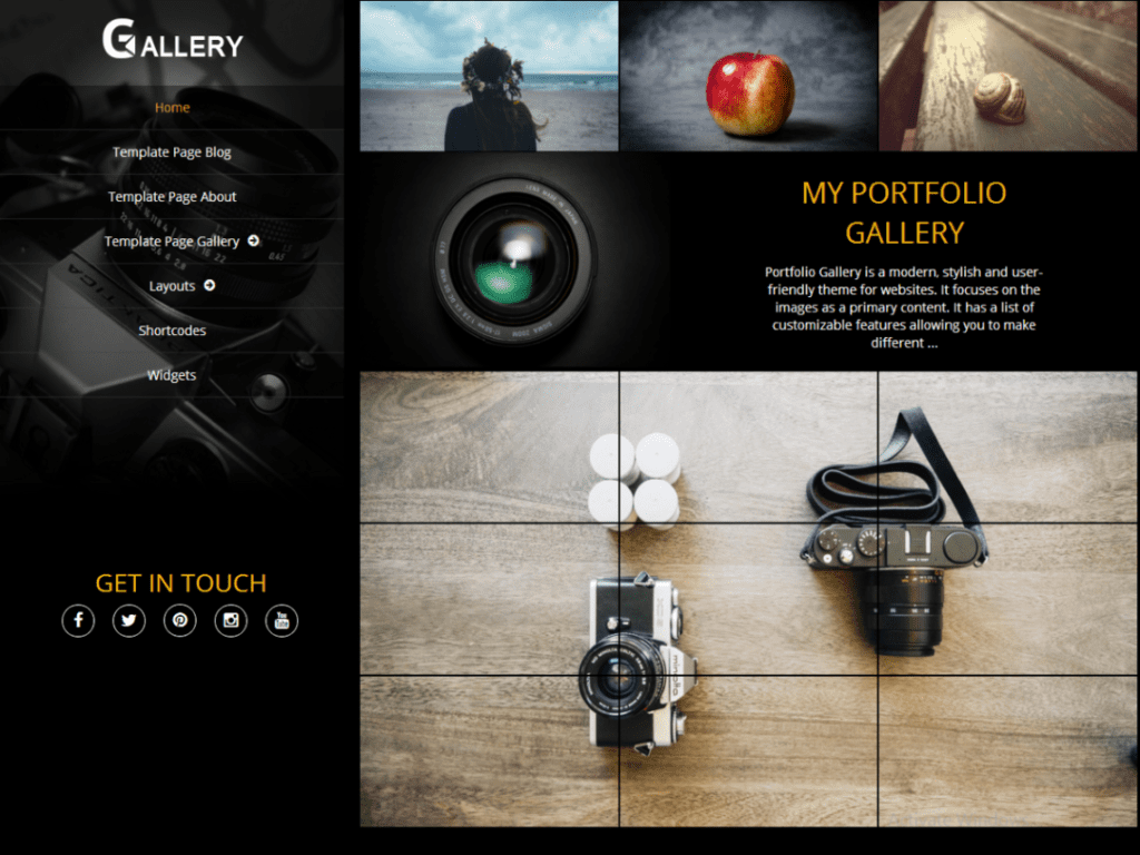 Download Free Portfolio Gallery Wordpress theme - JustFreeWPThemes