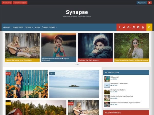 Free Synapse Wordpress Theme