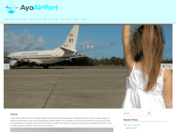 Free Ayaairport Wordpress Theme