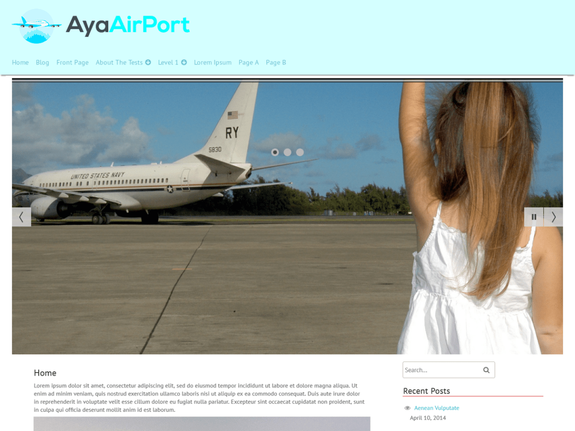 Free AyaAirPort Wordpress Theme