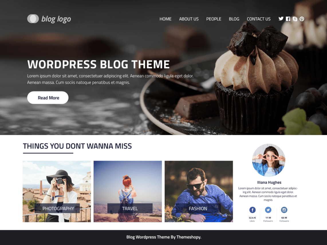 Free Perfect Blog Wordpress Theme