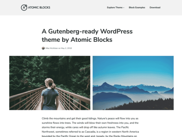 Free Atomic Blocks Wordpress Theme