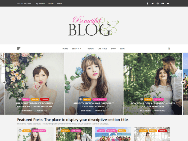 Free Beautiful Blog Wordpress Theme