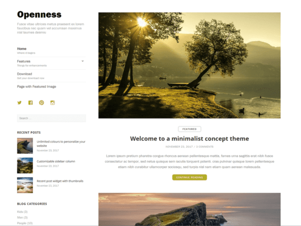 Free Openness Wordpress Theme
