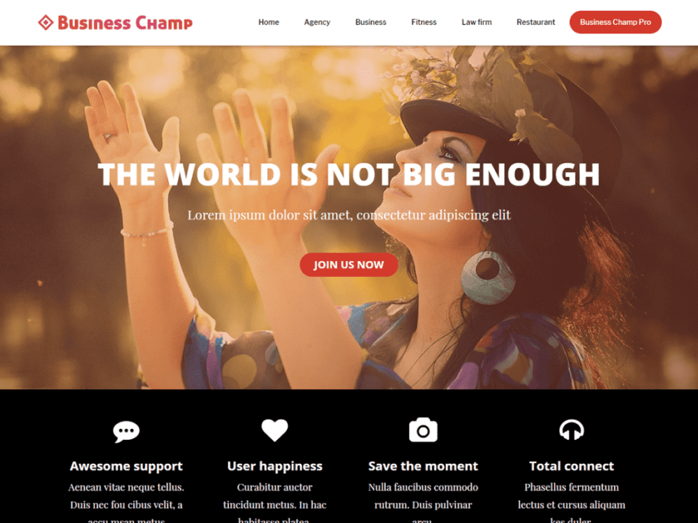 Free Business Champ Wordpress Theme