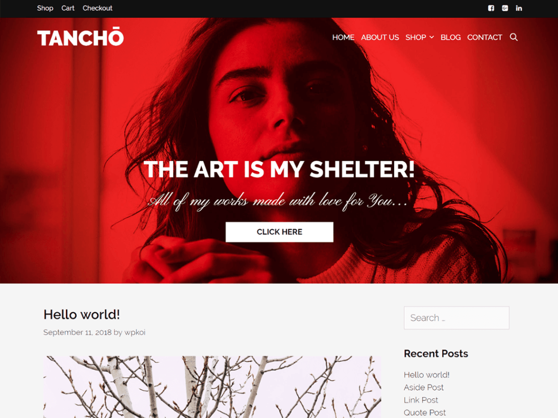 free tancho wordpress theme