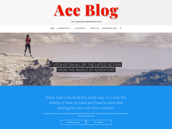 Free Ace Blog Wordpress Theme