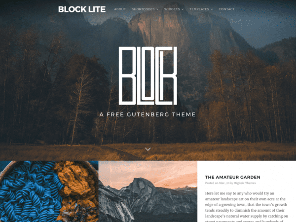 Free Block Lite Wordpress Theme