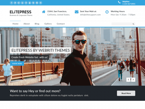 Free Elitepress Wordpress Theme