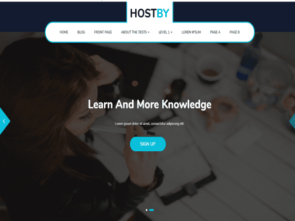 Free Hostby Wordpress Theme