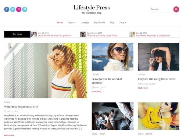 Free Lifestyle Press Wordpress Theme