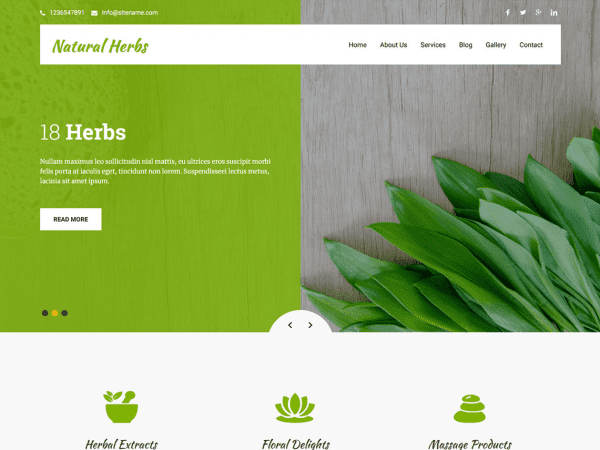 Free Natural Herbs Lite Wordpress Theme
