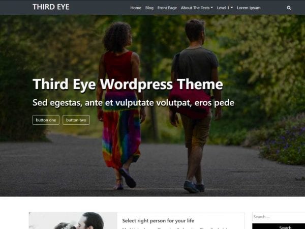 Free Third Eye Wordpress Theme