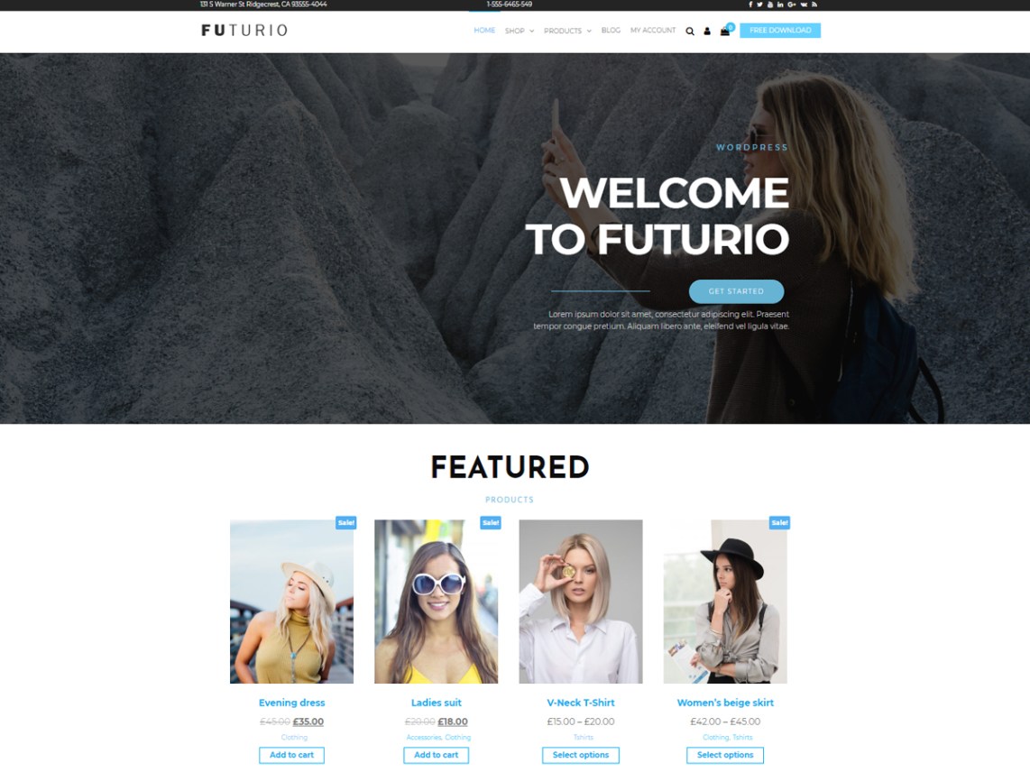 Free Futurio WordPress theme
