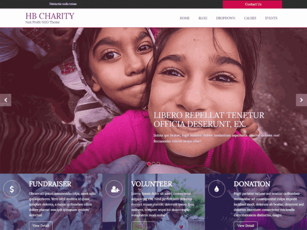 Free Hb Charity Wordpress Theme