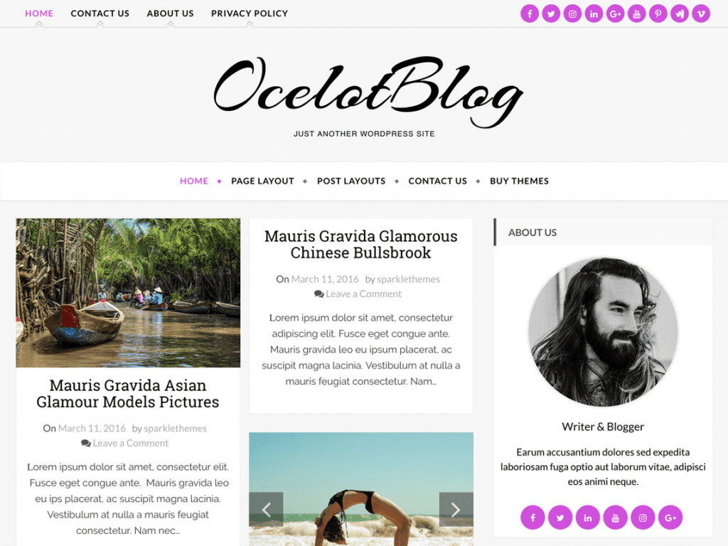 Free Ocelot Wordpress theme: Download & Review - JustFreeWPThemes