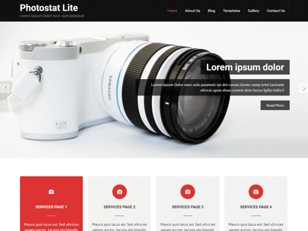 Free Photostat Lite Wordpress Theme