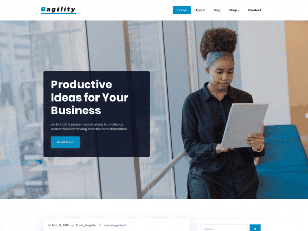 Free Bagility Wordpress Theme